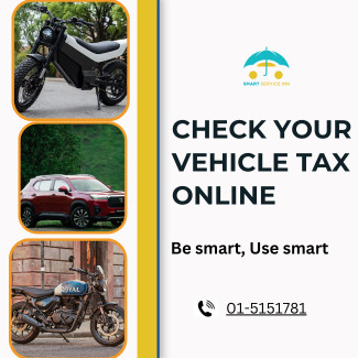 A Step-by-Step Guide to Checking Vehicle Tax Online in Nepal